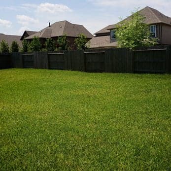 Landscaped front yard after a full service visit
