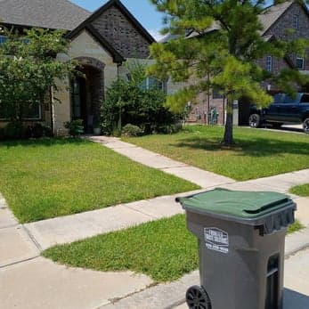 Mower cutting a clean edge along a driveway